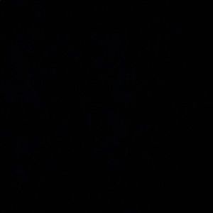 Meet your Posher, Linwood